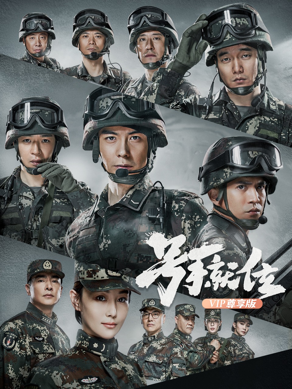 号手就位VIP尊享版