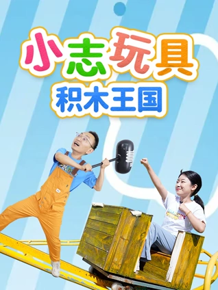 小志玩具积木王国