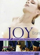 猫咪WWW.5.在线观看